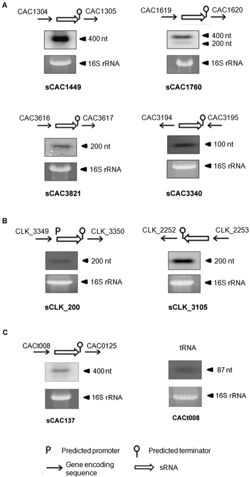 FIG 2 