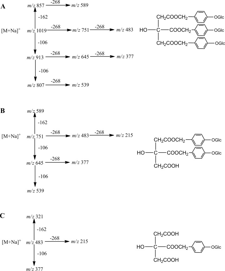 Fig 2