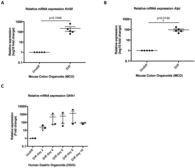 Figure 1—figure supplement 1.