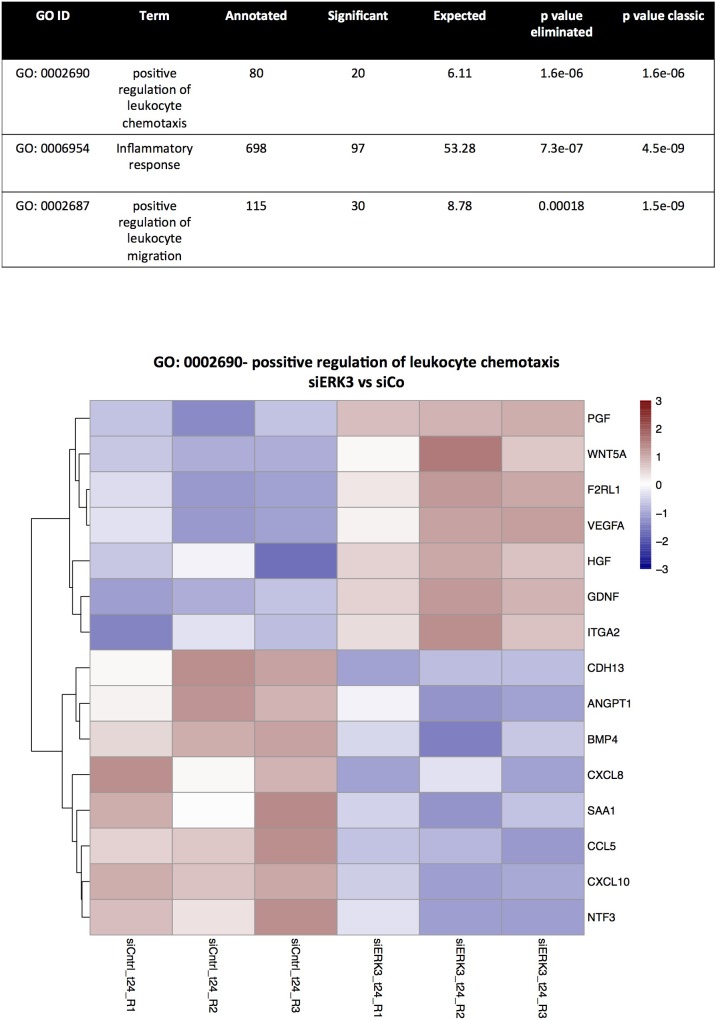 Figure 3—figure supplement 1.