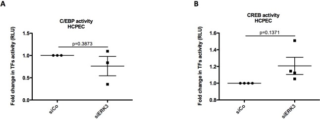 Figure 6—figure supplement 2.