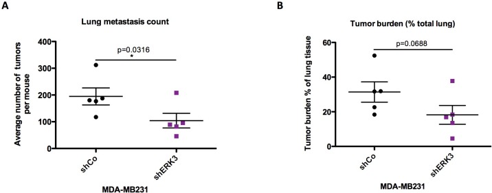 Figure 5—figure supplement 1.