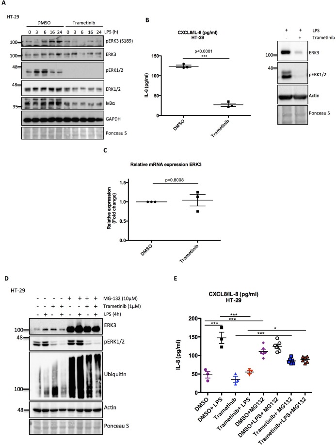 Figure 4—figure supplement 4.