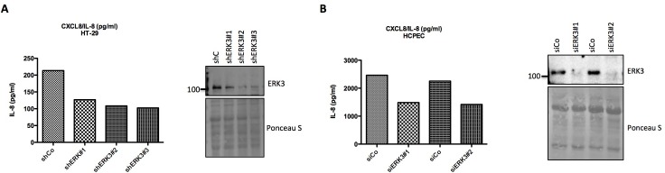 Figure 4—figure supplement 2.