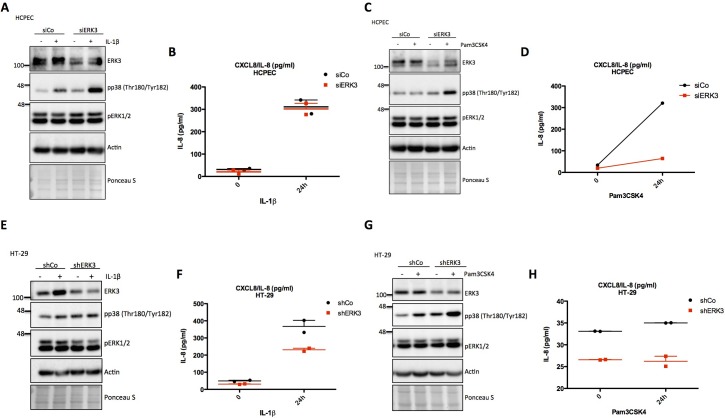 Figure 4—figure supplement 3.