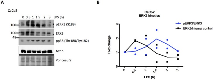 Figure 2—figure supplement 1.