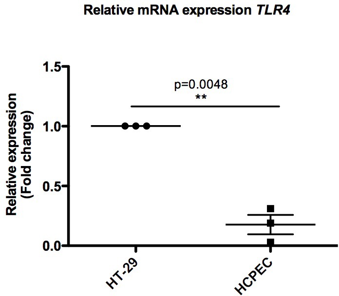 Figure 2—figure supplement 2.