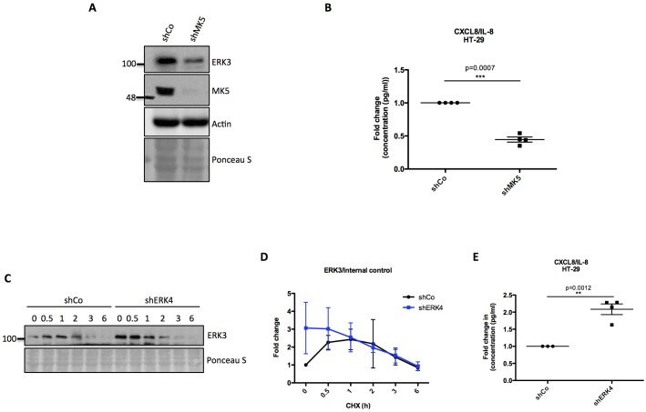 Figure 4—figure supplement 5.