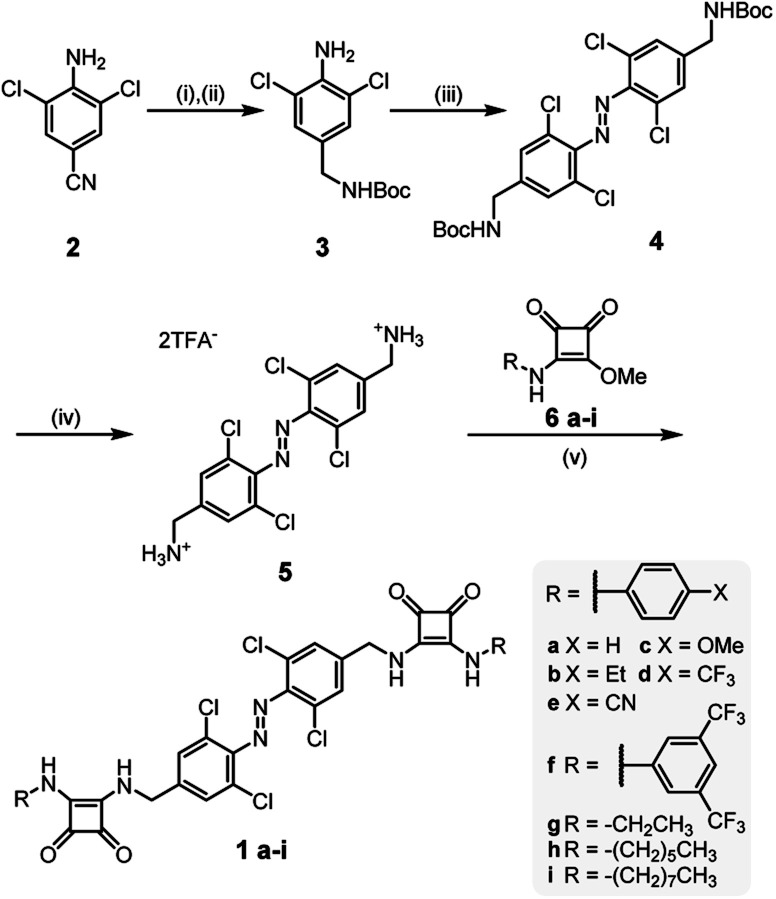 Scheme 1