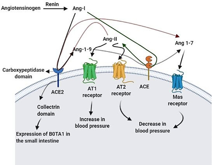 Fig. 2