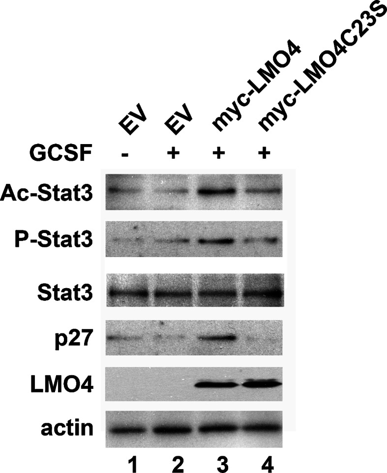 Fig. 6