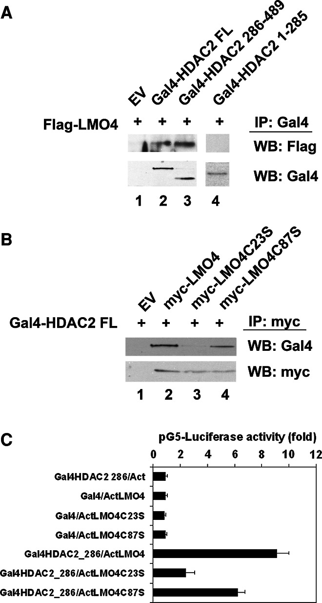 Fig. 5