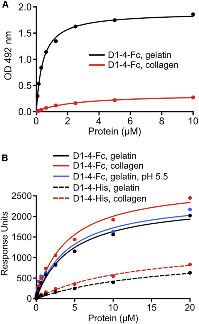 Figure 5