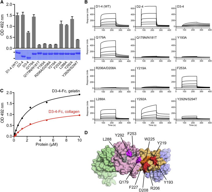 Figure 6