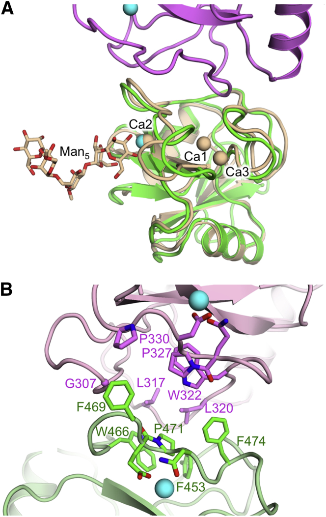 Figure 3