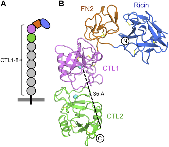 Figure 1