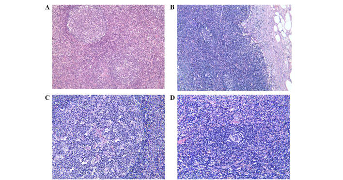 Figure 3.