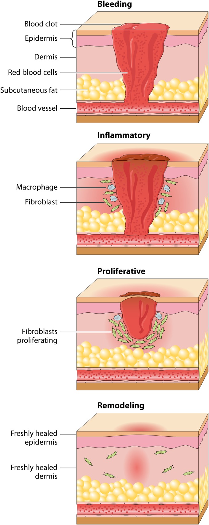 FIG 4