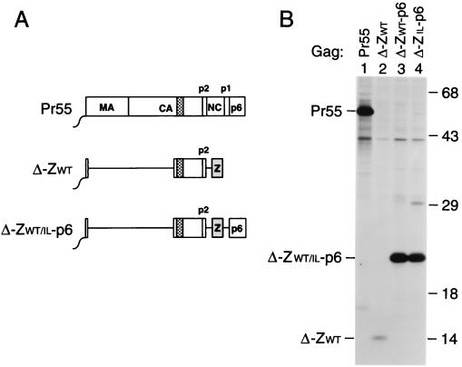 FIG. 3