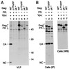 FIG. 7