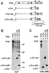 FIG. 5