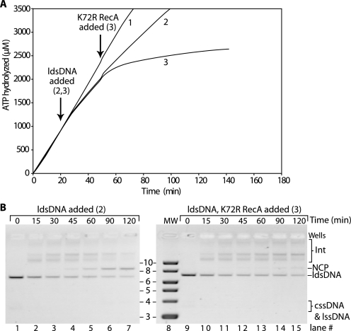 FIGURE 10.