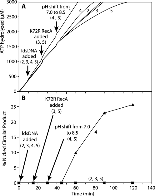 FIGURE 11.