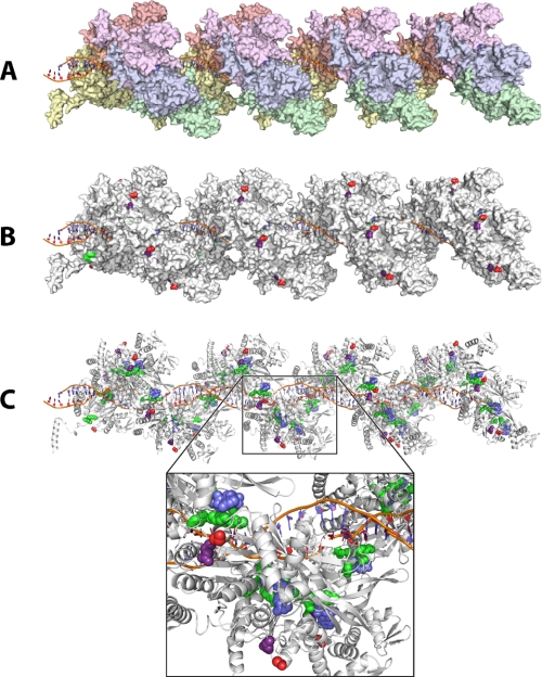 FIGURE 12.