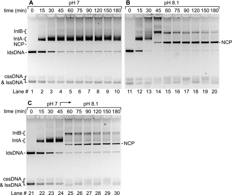 FIGURE 3.