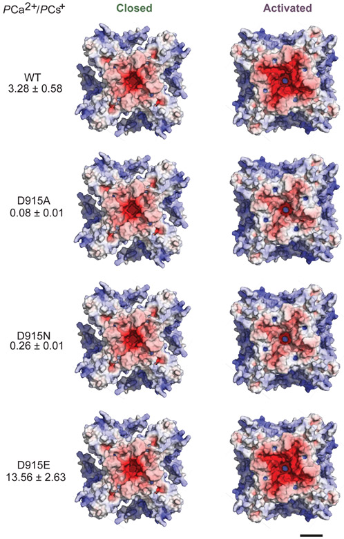 Extended Data Fig. 3.