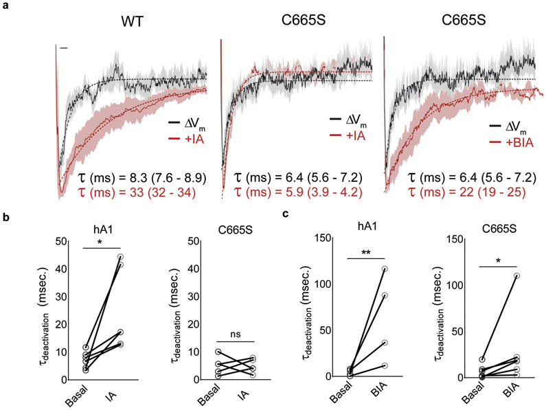 Extended Data Fig. 6.