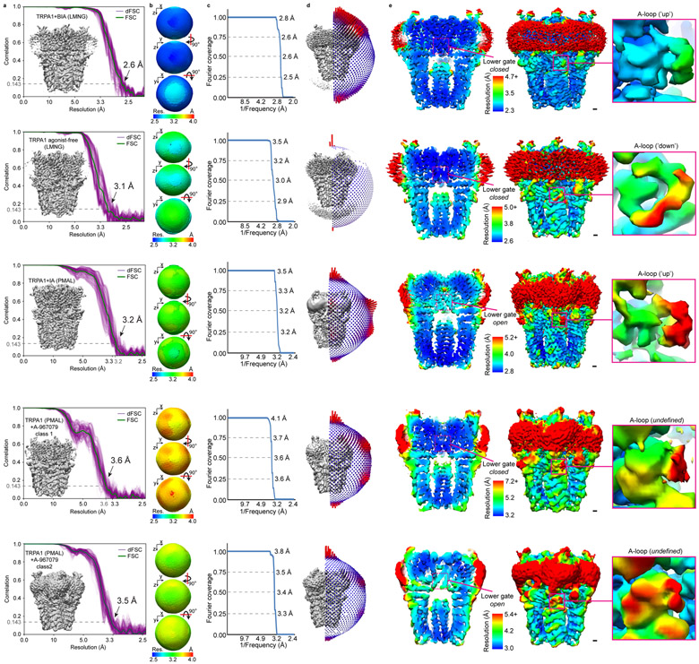 Extended Data Fig. 2.