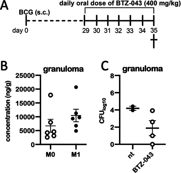 FIG 3