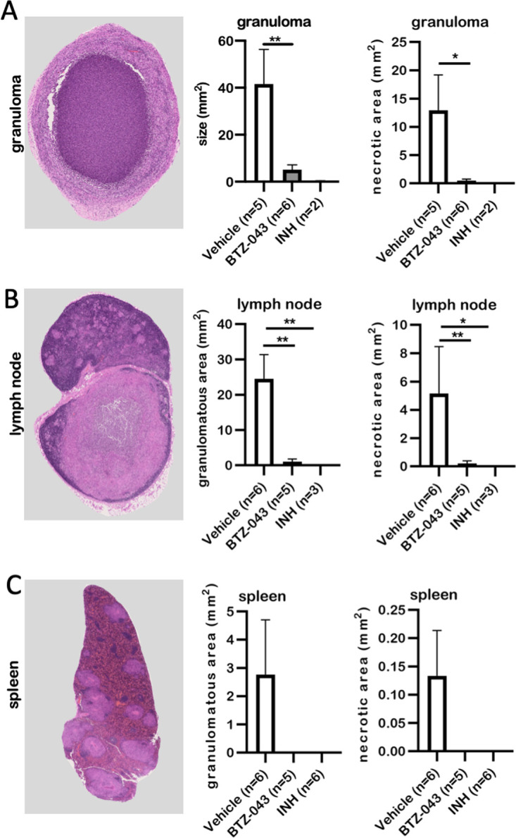 FIG 5