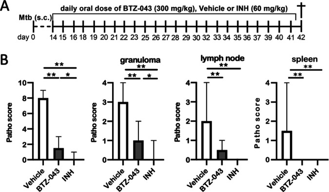 FIG 4