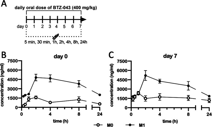 FIG 2