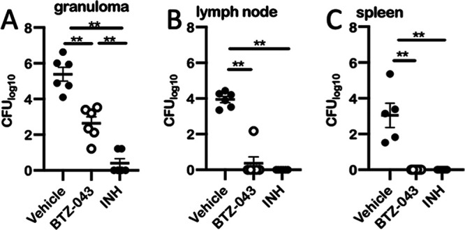 FIG 6