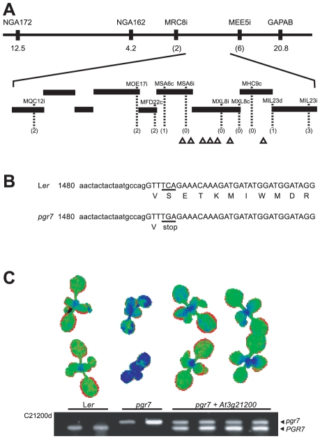 Figure 6