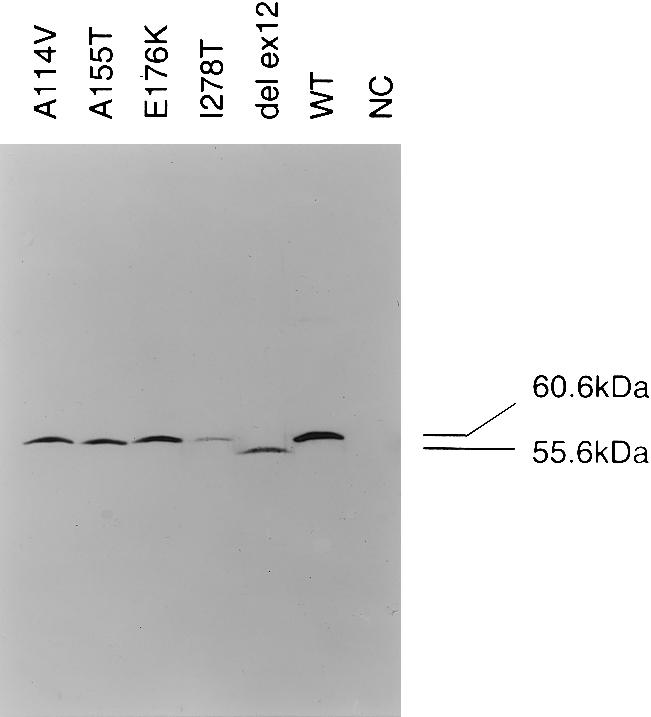 Figure  3