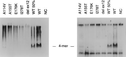 Figure  4