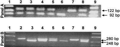 Figure  1