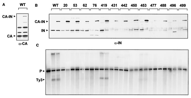 FIG. 6.