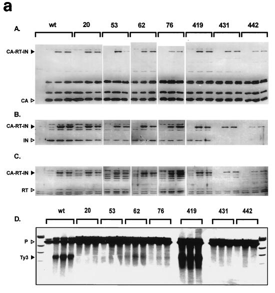 FIG. 7.