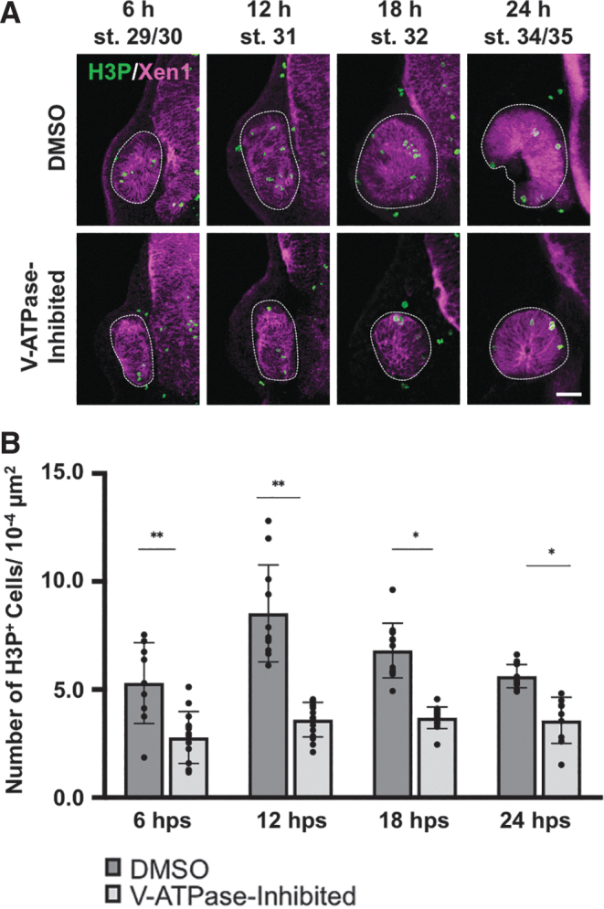 FIG. 3.