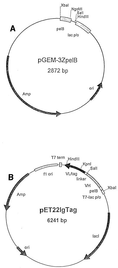 FIG. 3