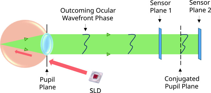 Fig. 1