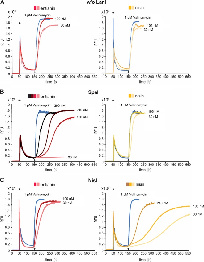 FIG 3