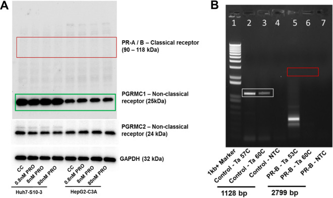 FIG 1