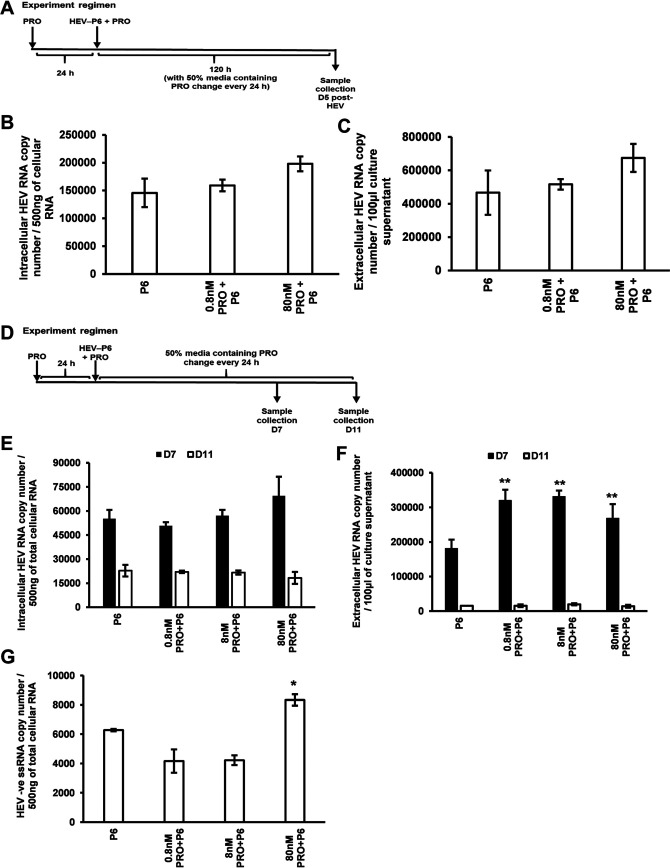 FIG 2