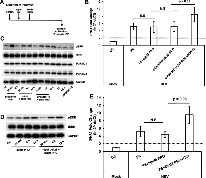 FIG 8